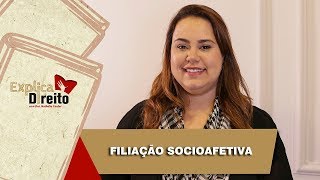 Explica Direito Filiação Socioafetiva  2019 [upl. by Gennie865]