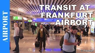 TRANSIT WALK AT FRANKFURT Airport FRA Terminal 1  Connection Flight Transfer Arriving amp Departing [upl. by Brindle852]